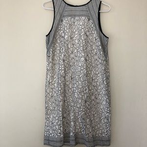 Loft Shadow Floral Lace Shift Dress